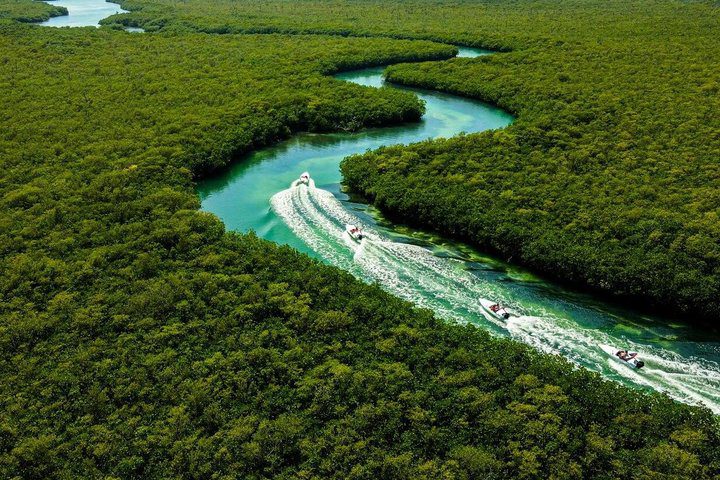 Cancun Speedboat Jungle Tour: Snorkel & Mayan Ceremony