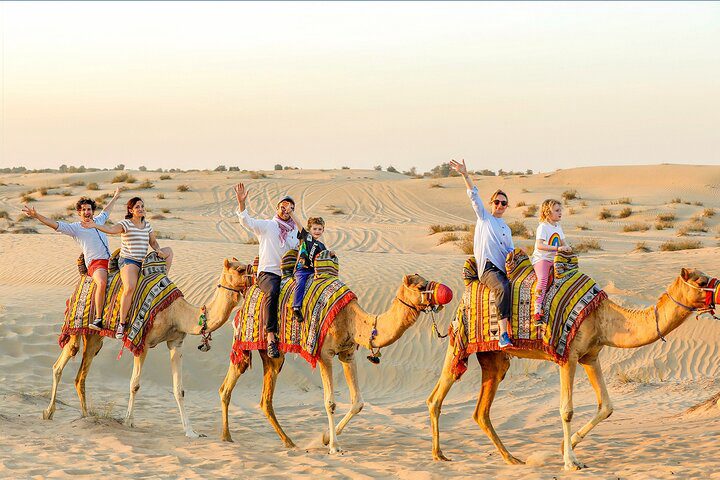 Private Dubai Layover Tour: Explore Top City Highlights