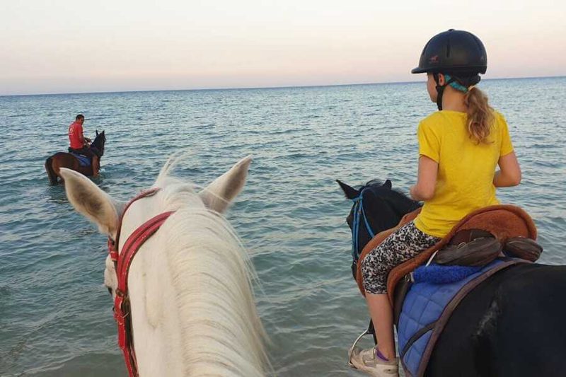 Horse Ride Adventure in Hurghada