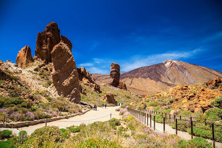Teide National Park Safari Ride Volcano Landscapes and Wildlife
