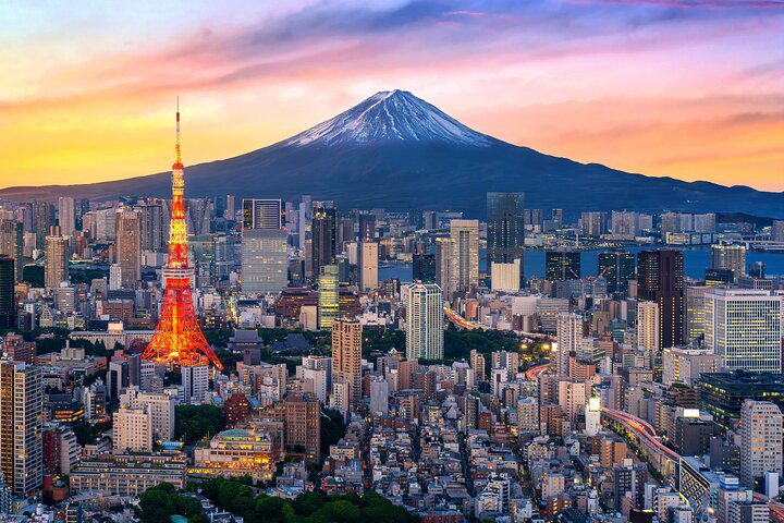 Tokyo Private Sightseeing Tour